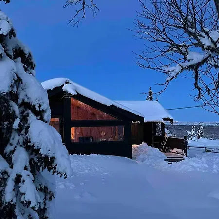 Modernized Log At Ljosheim